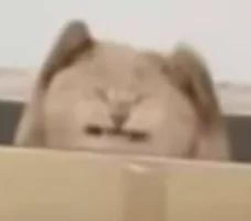 丁文一与诺,瑞斯半程领,约堡公开赛,乐鱼体育,乐鱼体育官方网站,乐鱼体育平台